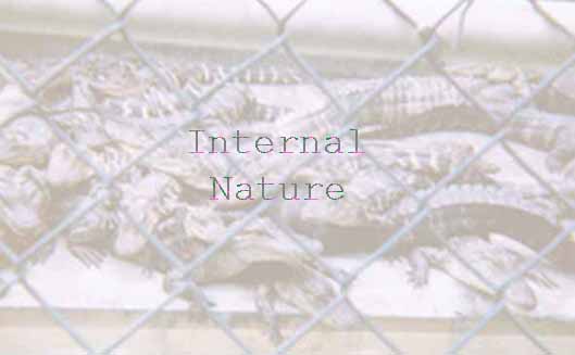 Alligator Image/Internal Nature