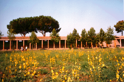 [Yellow blue and pink flowers wave in front of a row of
columns.]